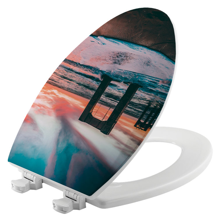 House & Homebody Co. Elongated Toilet Seat and Lid Wayfair Canada